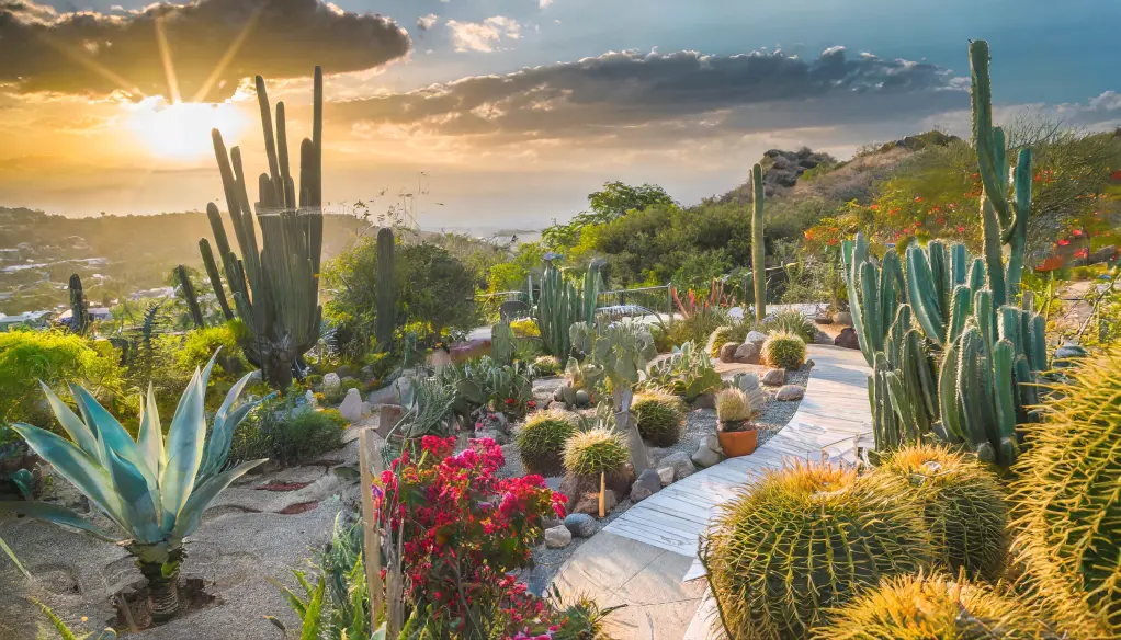 Wonder Garden NovaWorld Phan Thiết