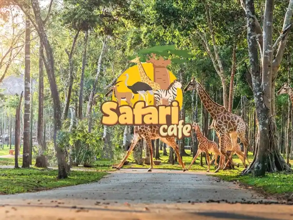 Safari Cafe NovaWorld Phan Thiết