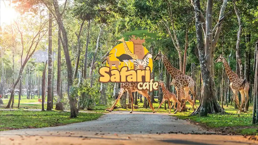 Safari Cafe Phan Thiết mô hình bán hoang dã đầu tiên tại Việt Nam