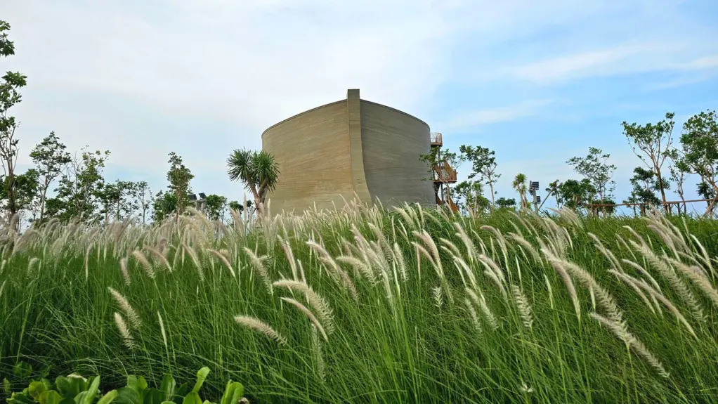 Cánh đồng lau Wonder Hill