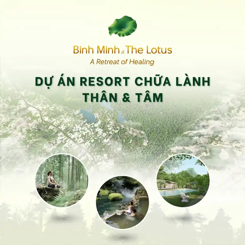 Bình Minh The Lotus