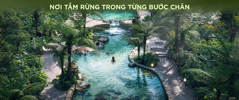 8km tắm rừng
