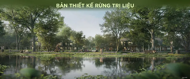 Rừng trị liệu