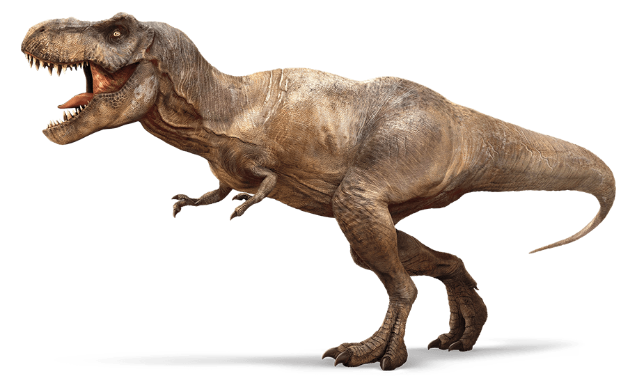 Nova Dreams Cafe Công viên khủng long 2025